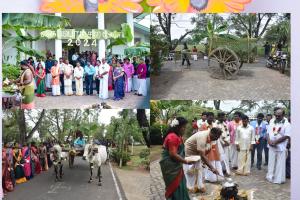 Pongal-banner.jpg